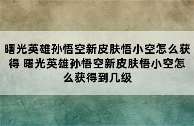 曙光英雄孙悟空新皮肤悟小空怎么获得 曙光英雄孙悟空新皮肤悟小空怎么获得到几级